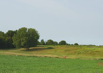 A person in an orange shirt rides a bicycle along a grassy trail in a wide, green field bordered by trees under a clear sky.