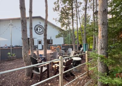 Outdoor seating area with Adirondack chairs and tables among pine trees, facing a white building with a circular sign that reads “Disgruntled Brewing” String lights hang above the patio on a sunny day.