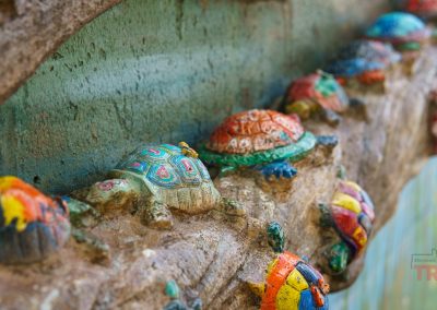 Colorful, painted turtle sculptures are embedded in a rough, stone-like surface against a faded green wall. The turtles vary in color and pattern, creating a vibrant, whimsical scene.