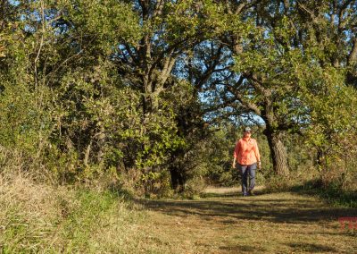 A person wearing an orange shirt and sunglasses enjoys hiking on a sunlit, dirt path surrounded by tall green trees and grass at Camden State Park.