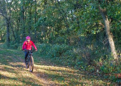 A person wearing a red jacket and helmet rides a bicycle on a leaf-covered mountain bike trail through Camden State Park’s dense, green forest. Sunlight filters through the trees, creating dappled light on the path.