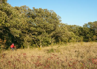 A person wearing a red shirt and a pink helmet bikes through a grassy field near dense, leafy trees under a clear blue sky along the Camden State Park mountain bike trail.