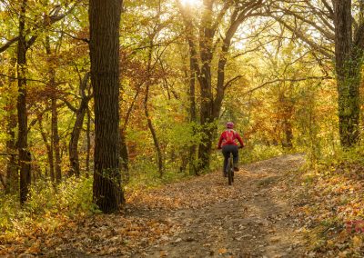 A person wearing a red jacket rides a bicycle along the Mountain Bike Trail at Camden State Park, winding through a sunlit forest with colorful autumn leaves carpeting the ground and trees.