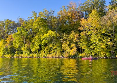A person is paddling a red kayak along a tree-lined shoreline on a sunny day, with calm water reflecting the green and yellow foliage.