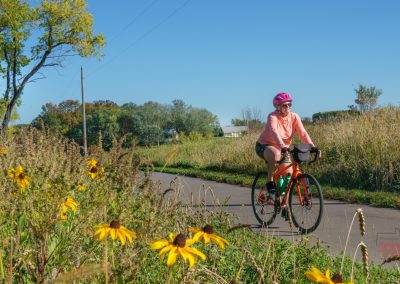 A person wearing a pink helmet and sunglasses rides a bicycle on the Heart of the Lakes Bike Trail, surrounded by grassy fields dotted with yellow wildflowers under a clear blue sky. Trees and houses are visible in the background.