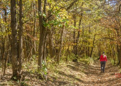 A person wearing a red jacket and a black hat walks alone on the Garvin Park Trails, following a leaf-covered path through a sunlit forest with tall trees and autumn foliage.
