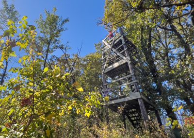 The Garvin Park Tower rises above dense green and yellow foliage, surrounded by tall trees under a clear blue sky. Sunlight filters through the leaves, creating bright, natural lighting.