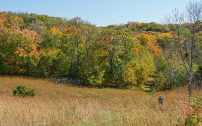 Fall Escape to Otter Tail County
