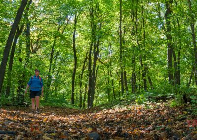 A person wearing a blue shirt and backpack enjoys hiking along a sunlit, leaf-covered trail in the lush green forest of Maplewood State Park. Sunlight filters through the tall trees, creating dappled light on the ground.