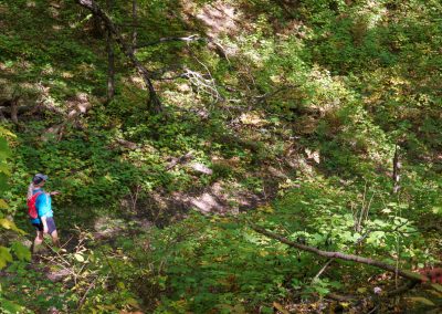 A person wearing a blue shirt, red backpack, and cap enjoys hiking along a narrow dirt trail in the lush, green forest of Maplewood State Park, with sunlight filtering through the trees.