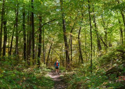 A person with a blue backpack enjoys hiking alone on a dirt trail through the lush, green forest of Maplewood State Park, sunlight filtering through the trees.