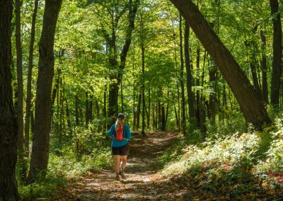 A person wearing a blue shirt and orange backpack enjoys hiking along a sunlit dirt trail through Maplewood State Park’s lush green forest, surrounded by tall trees and dappled sunlight.