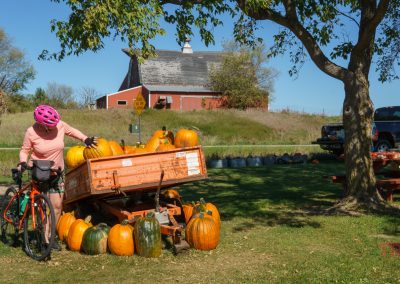 A person in a pink helmet and shirt stands by a bicycle along the Heart of the Lakes Bike Trail, looking at an orange cart filled with pumpkins. Large pumpkins dot the grass, with a red barn, trees, and a parked truck nearby.
