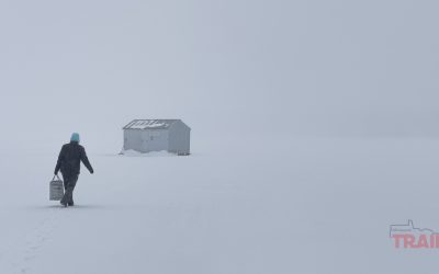 Finding Minnesota