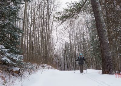 A person wearing a blue hat and backpack walks with poles on a snow-covered forest trail surrounded by tall trees in winter at Rainbow Resort in Waubun, MN.