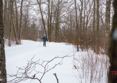 A person cross-country skiing on a snowy trail through a forest of leafless trees in winter at Rainbow Resort in Waubun, MN. Brown branches and tree trunks frame the peaceful scene.