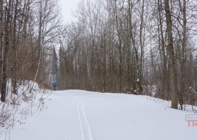 A person in a blue jacket skis along a snow-covered trail through a forest of leafless trees on a cloudy winter day at Rainbow Resort in Waubun, MN.