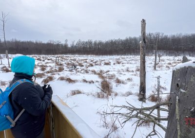 A person in a blue hooded jacket and backpack stands on a wooden platform at Rainbow Resort in Waubun, MN, gazing over snowy marshland with scattered trees under a cloudy sky.