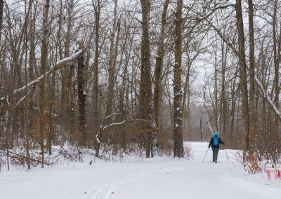A person wearing a blue hat and backpack cross-country skis along a snow-covered trail through a forest of tall, leafless trees in winter at Rainbow Resort in Waubun, MN.