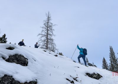 Three people hike up a snowy, rocky slope surrounded by evergreens and a leafless tree under a cloudy sky. One person, carrying a Breakwater Supply Fogland Backpack, uses poles for support while the others stand at the top of the hill.