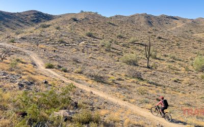 Gear Review: Fogland Backpack By Breakwater Supply