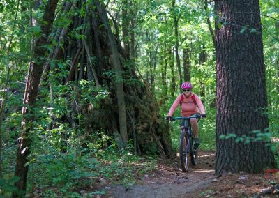 A person wearing a pink shirt and helmet rides a mountain bike along the scenic Jail Trail in Saint Cloud MN, winding through a dense, green forest with tall trees and a large, teepee-shaped structure made of branches.