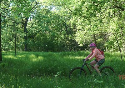 A person wearing a pink helmet and backpack rides a bike through the lush, green Jail Trail in Saint Cloud MN on a sunny day. The grass and trees are vibrant as dappled sunlight filters through.