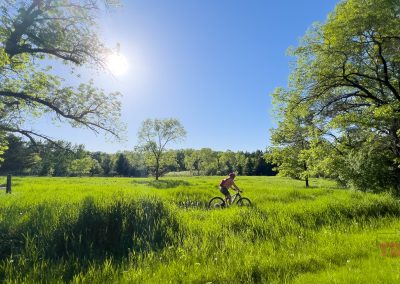 A person rides a bicycle through a lush green field on the Jail Trail in Saint Cloud MN, surrounded by tall trees under a bright blue sky, with the sun shining overhead.