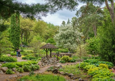 Lush Munsinger Gardens in Saint Cloud MN features winding paths, green plants, blooming trees, and a wooden gazebo. Two people stand on a path, surrounded by vibrant greenery under a partly cloudy sky.