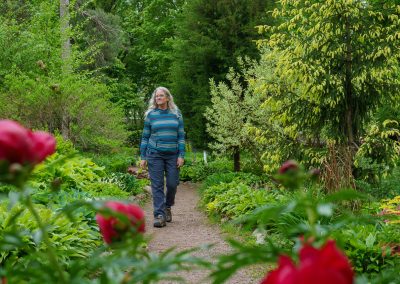 A person with long gray hair wearing a blue striped sweater walks along a path in Munsinger Gardens, Saint Cloud MN, surrounded by green plants and vibrant red flowers on a cloudy day.