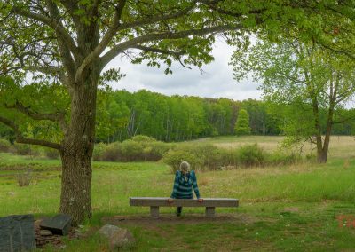 An older person with gray hair and a blue plaid jacket sits alone on a stone bench under a large tree at Quarry Park in Waite Park, MN, gazing at a scenic view of green fields and forest on a cloudy day.