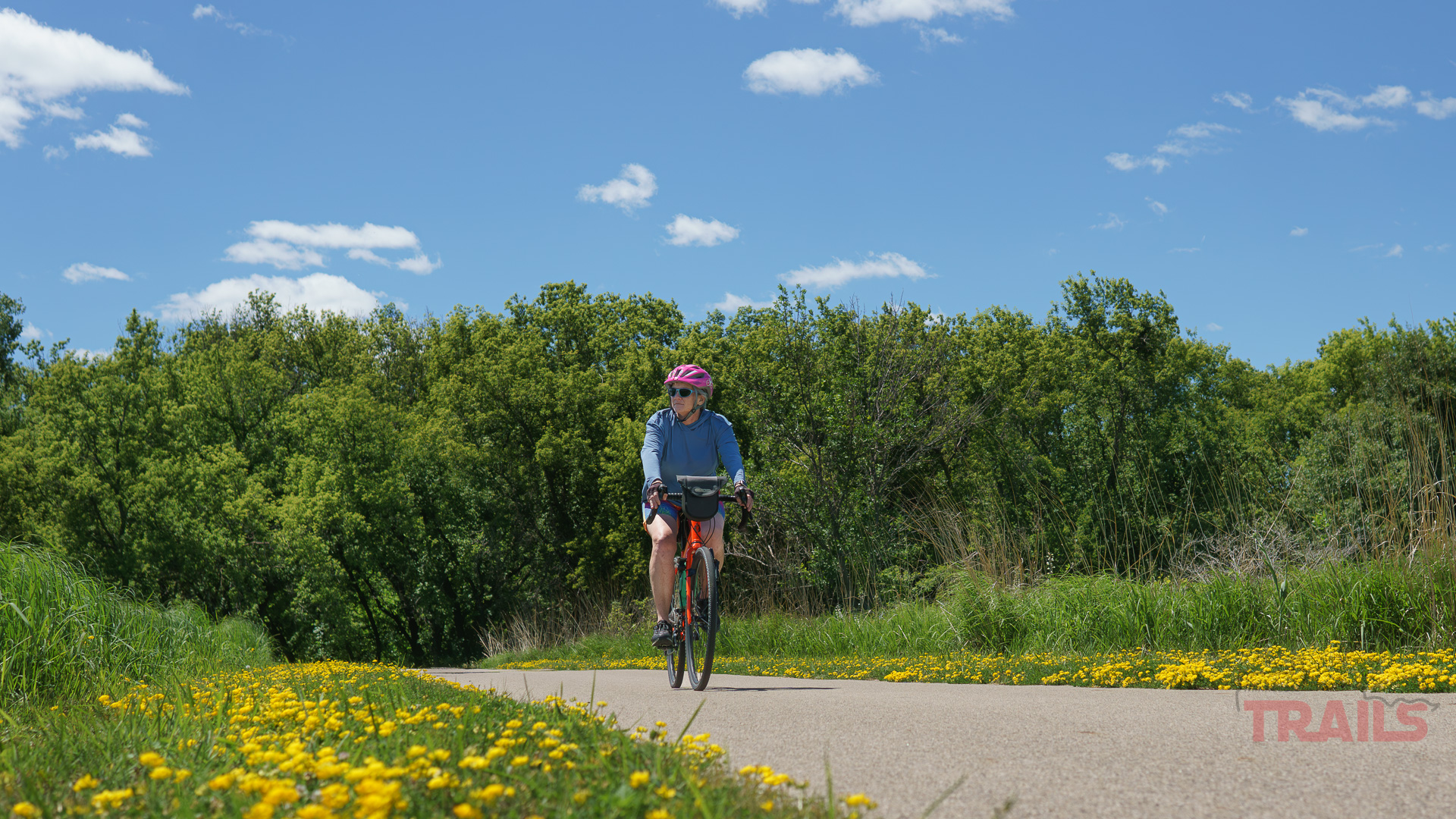 Blazing Star Trail-Flowers A person wearing a pink helmet rides a bicycle on the paved Blazing Star Trail in Minnesota, lined with yellow wildflowers, with green trees and a blue sky with clouds in the background.