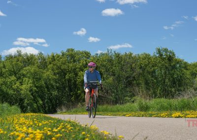 A person wearing a helmet and blue shirt rides a bicycle on the Blazing Star Trail, a paved path in Minnesota lined with yellow wildflowers, with green trees and a blue sky with clouds in the background.