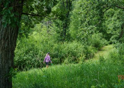 A person in a pink shirt walks on a green, grassy trail surrounded by lush trees and foliage under a partly sunny sky in Myre Big Island State Park. The scene is peaceful and vibrant with summer greenery.